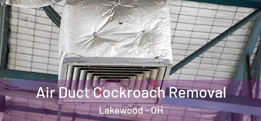  Air Duct Cockroach Removal Lakewood - OH