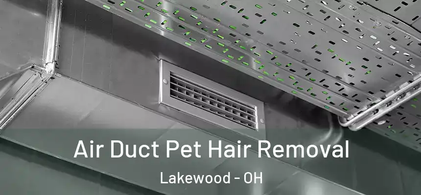  Air Duct Pet Hair Removal Lakewood - OH