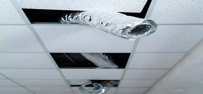 Our Air Duct Pet Hair Removal Services in Lakewood, OH