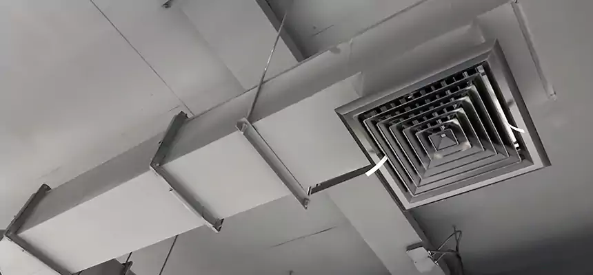 Our Rodent Droppings In Vents Services in Lakewood, OH