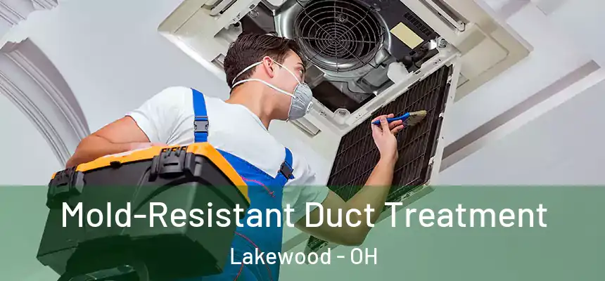  Mold-Resistant Duct Treatment Lakewood - OH