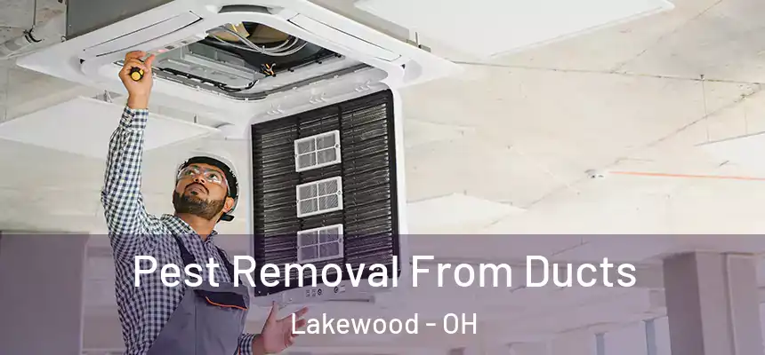  Pest Removal From Ducts Lakewood - OH
