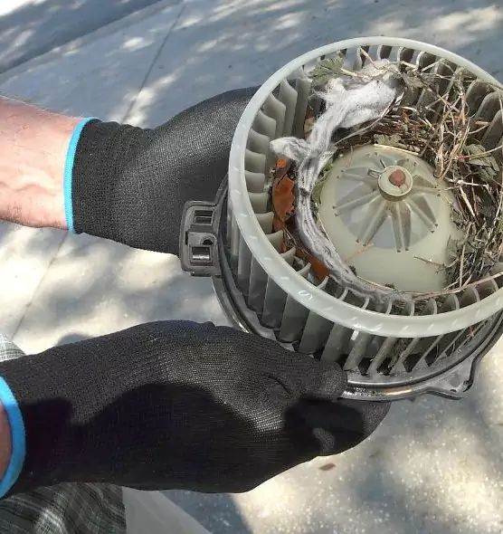 About Air Duct Rat Removal in Lakewood, OH