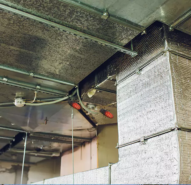 Why Homeowners & Businesses Trust Us in Lakewood, OH?