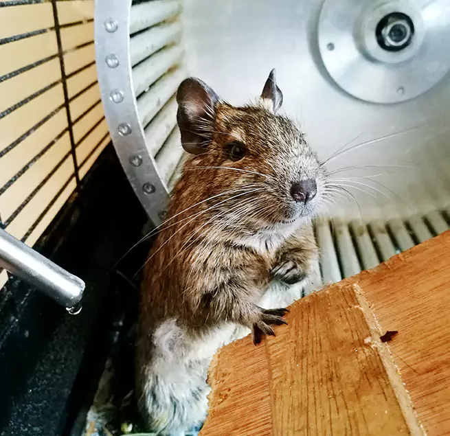 Why Homeowners & Businesses Trust Us Lakewood, OH