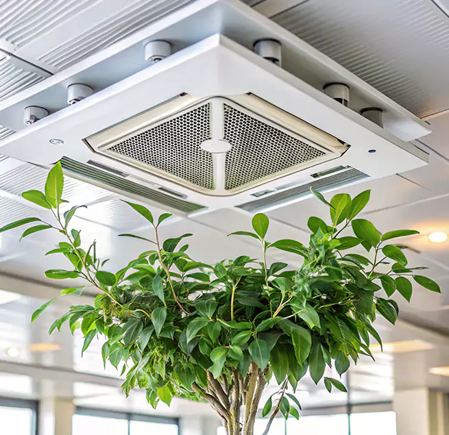 Why Homeowners & Businesses Trust Us in Lakewood, OH?